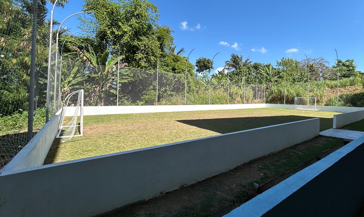 CAMPO SINTETICO